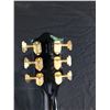 Image 8 : GRETSCH 1962 COUNTRY CLASSIC GENTLEMAN GEORGE HARRISON MODEL G122 6 STRING ELECTRIC GUITAR WITH GOLD