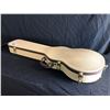 Image 8 : RICH TURNER LIMITED EDITION 59/120  6 STRING  ELECTRIC GUITAR