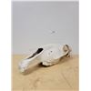 Image 2 : VINTAGE ANIMAL SKULL