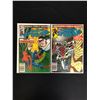 Image 1 : THE AMAZING SPIDER-MAN NO.240/ NO.231 (MARVEL COMICS)