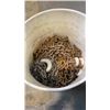 Image 2 : 2 PAILS OF GRINDING / CUTTING DISCS AND METAL CHAIN