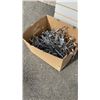 Image 2 : 5 SHEETS OF SLATWALL WITH BOX OF SLATWALL HOOKS