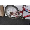 Image 3 : RED CARRERA BIKE