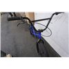Image 2 : BLUE DICE BIKE
