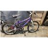 Image 2 : SPORTEK YOUTH BIKE AND AMS BLUE YOUTH BIKE