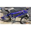 Image 8 : SPORTEK YOUTH BIKE AND AMS BLUE YOUTH BIKE