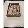 Image 1 : COLLECTION OF SEASHELLS
