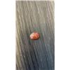 Image 2 : NATURAL SUNSTONE 6.765CT
