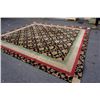 Image 2 : 14 FOOT AREA CARPET