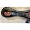 Image 3 : CASED THE TRIUMPH UKULELE