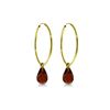 Image 1 : Genuine 4.5 ctw Garnet Earrings 14KT Yellow Gold - REF-26H2X