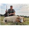 Image 16 : Argentina: 5 Day Big Game Hunt for 3 hunters, includes 1 Blackbuck, Patagonia Ram & Wild Boar