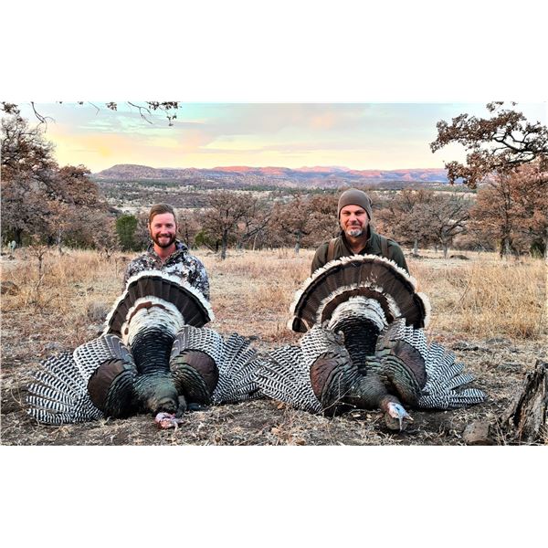 Mexico: 3 Day 4 Night Fully Guided Gould's Turkey Hunt for 2 Hunters