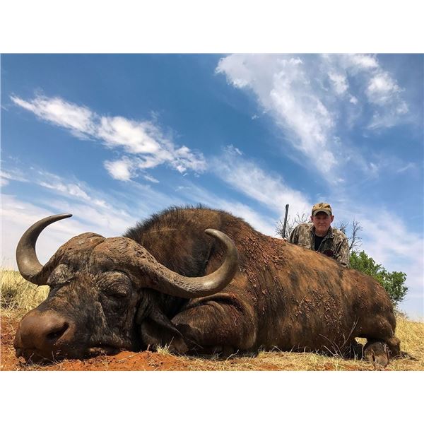 South Africa: 7 Day Cape Buffalo Hunt for One Hunter / Includes $5,000 Trophy Fee Credit