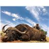 Image 1 : South Africa: 7 Day Cape Buffalo Hunt for One Hunter / Includes $5,000 Trophy Fee Credit