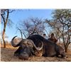 Image 3 : South Africa: 7 Day Cape Buffalo Hunt for One Hunter / Includes $5,000 Trophy Fee Credit