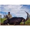 Image 4 : South Africa: 7 Day Cape Buffalo Hunt for One Hunter / Includes $5,000 Trophy Fee Credit