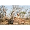 Image 5 : South Africa: 7 Day Cape Buffalo Hunt for One Hunter / Includes $5,000 Trophy Fee Credit