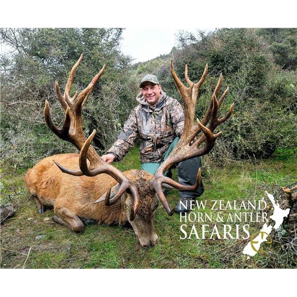 New Zealand: 8 Day 3 Hunter Red Stag, Tahr & Chamois hunt, includes $21,900 in trophy fees.