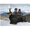 Image 7 : New Zealand: 8 Day 3 Hunter Red Stag, Tahr & Chamois hunt, includes $21,900 in trophy fees.