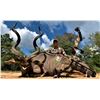Image 1 : South Africa: 12 Day Plains Game Hunt for Two Hunters / Includes a $3,000 Trophy Fee Credit