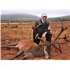 Image 5 : Spain: Trophy Big Game for 1 Hunter/Includes 1 of the following Roe, Red, or Fallow Deer or Mouflon