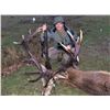 Image 7 : Spain: Trophy Big Game for 1 Hunter/Includes 1 of the following Roe, Red, or Fallow Deer or Mouflon