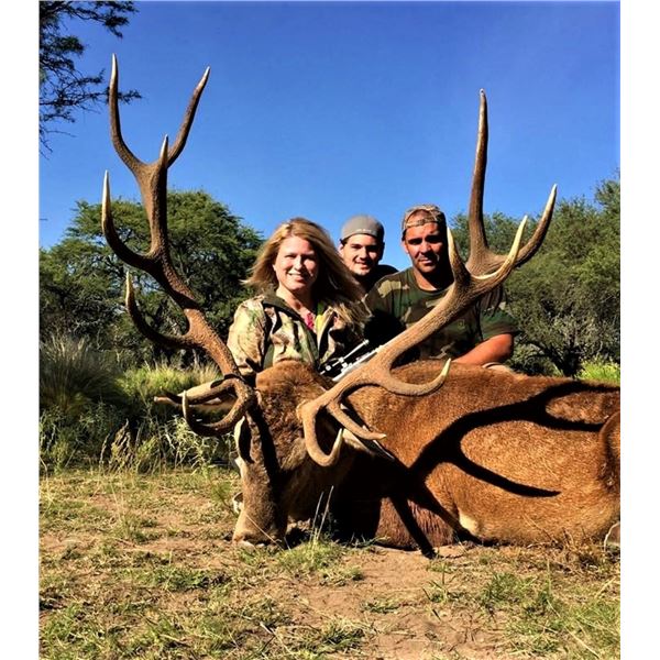 Argentina: 4 Day Big Game Hunt for 1 Hunter, includes the trophy fees for 1 Red Stag