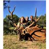 Image 1 : Argentina: 4 Day Big Game Hunt for 1 Hunter, includes the trophy fees for 1 Red Stag