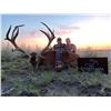 Image 2 : Argentina: 4 Day Big Game Hunt for 1 Hunter, includes the trophy fees for 1 Red Stag