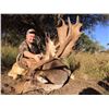 Image 7 : Argentina: 4 Day Big Game Hunt for 1 Hunter, includes the trophy fees for 1 Red Stag