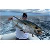 Image 2 : Costa Rica: 2 Day Saltwater Fishing Adventure Aboard the Dream Raiser Yacht