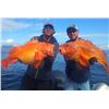 Image 5 : Seward Alaska:  1 Full Day, fishing trip for 2 Anglers aboard the Outer Coast