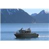 Image 6 : Seward Alaska:  1 Full Day, fishing trip for 2 Anglers aboard the Outer Coast