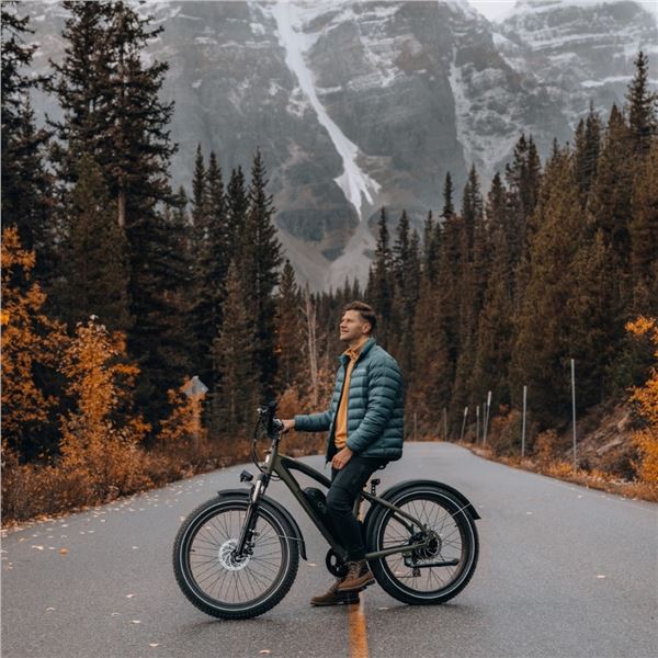 RadExpand 5 Electric Folding Bike