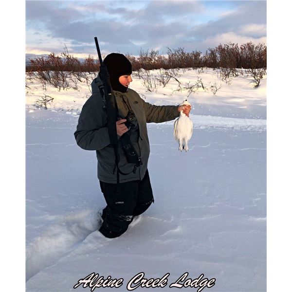 Alaska: 5 Night Lodging plus Spring Bear Or Winter DIY Ptarmigan/Predator Hunting for 2 People