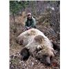 Image 3 : Alaska: 5 Night Lodging plus Spring Bear Or Winter DIY Ptarmigan/Predator Hunting for 2 People