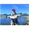 Image 4 : Alaska: Kenai River Cast & Blast, duck hunting & salmon fishing for 4 people