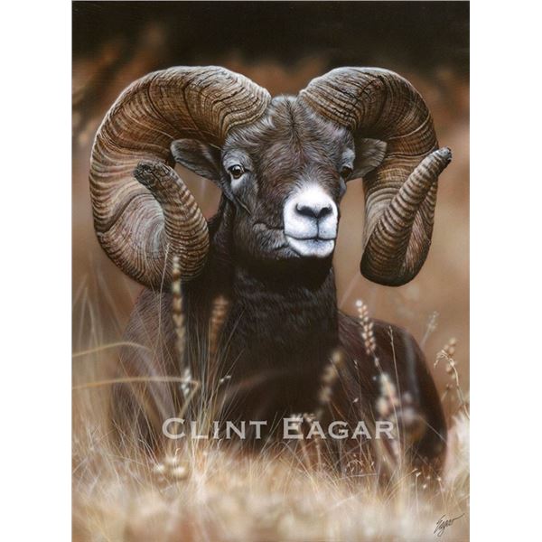 SCI Artist Of The Year: “Mountain Ram” Framed Artwork by Clint Eager