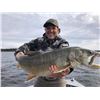 Image 3 : Alaska: Lake Louise 1 Full Day Of Guided Fishing for 4 Anglers with Chasing Tails Guide Service