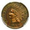 Image 1 : 1895 Indian Head Cent PCGS Genuine Cleaned XF Detail