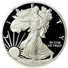 Image 1 : 2020-W Proof Silver Eagle NGC PF-70 Ultra Cameo