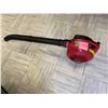 Image 1 : HomeLite The Yard Broom - Gas Blower