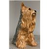 Image 1 : Beswick England 2377 - Yorkie - Excellent Condition - 10in tall