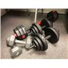 Image 1 : Group lot of Weights - set of 20 lb, two Adjustable Dumbbells approx. 10lbs each and Dumbbell Bar wi