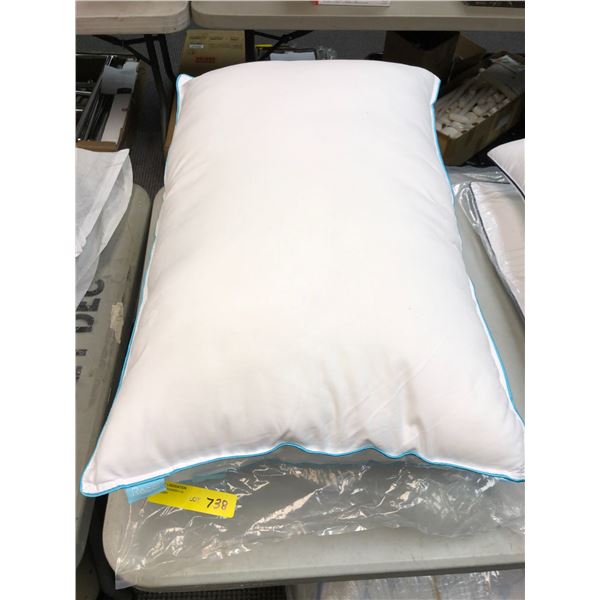 Two Recci Standard Pillows