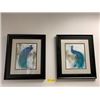 Image 1 : Group of two Peacocks - Framed Prints - 21in x 24in each