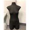 Image 3 : Two Mannequin Torso