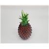 Image 2 : Pineapple by Seattle Glassblowing Studio