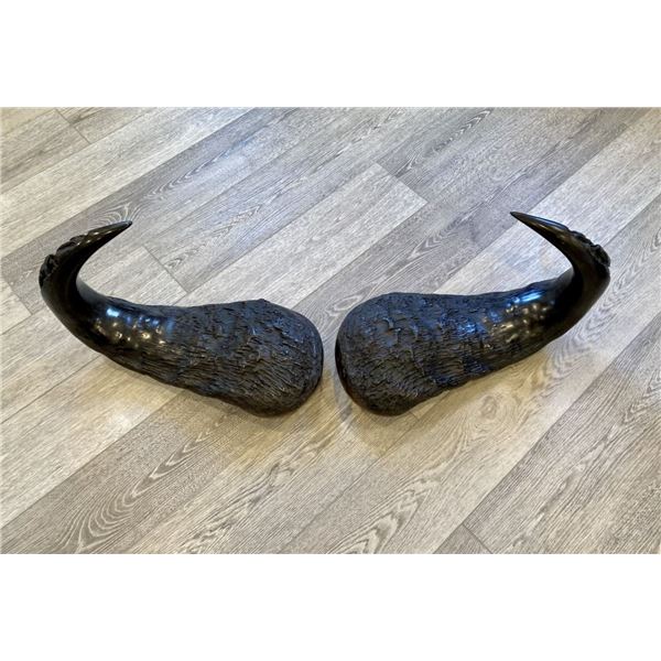 Carved African Cape Buffalo Horns